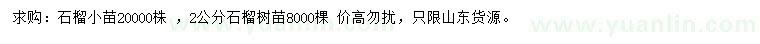 求購2公分石榴樹