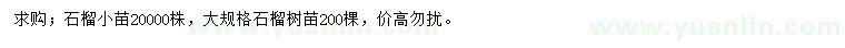 求購10公分石榴樹