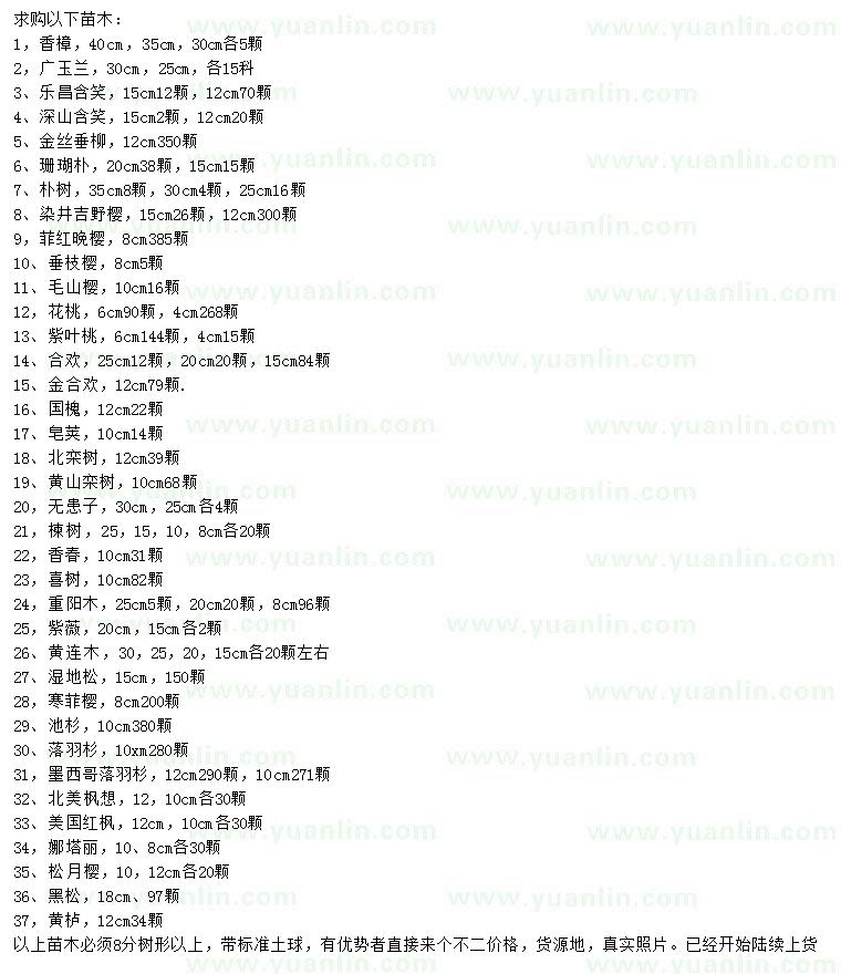 求購(gòu)香樟、廣玉蘭、樂昌含笑等