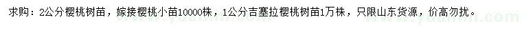 求購1、2公分櫻桃樹