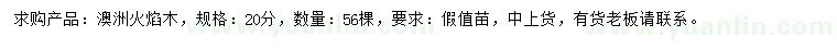 求購20公分澳洲火焰木