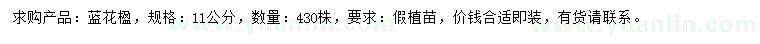 求購11公分藍花楹