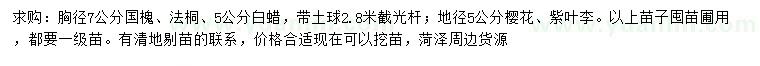 求購國槐、法桐、白蠟等
