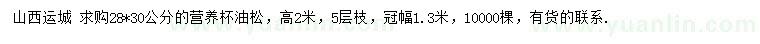 求購高2米油松
