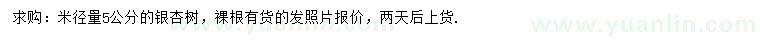 求購米徑5公分銀杏