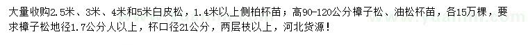求購白皮松、側(cè)柏、樟子松