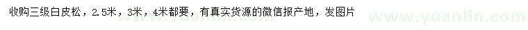 求購(gòu)2.5、3、4米白皮松