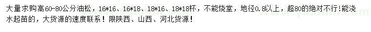 求購高60-80公分油松