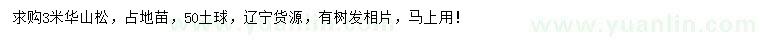 求購3米華山松
