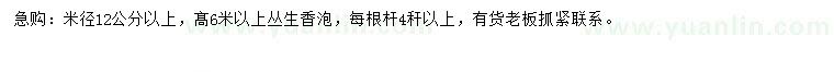 求購米徑12公分以上香泡