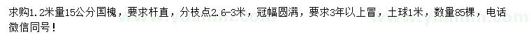 求購1.2米量15公分國槐