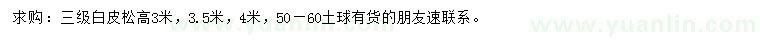 求購(gòu)高3米白皮松