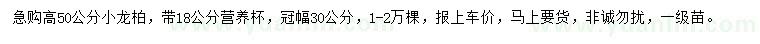求購高50公分小龍柏