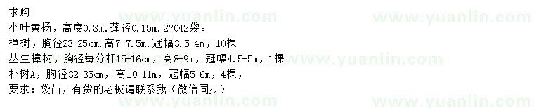 求購小葉黃楊、樟樹、樸樹