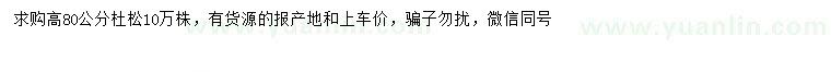 求購(gòu)高80公分杜松