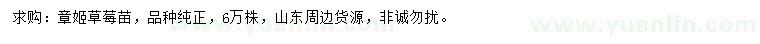 求購(gòu)章姬草莓苗