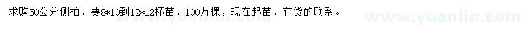求購(gòu)50公分側(cè)柏
