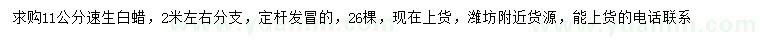 求購11公分速生白蠟