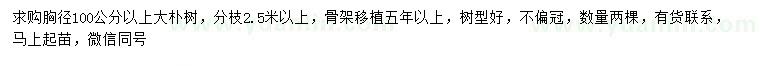 求購(gòu)胸徑100公分以上大樸樹