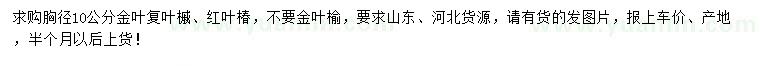 求購胸徑10公分金葉復(fù)葉槭、紅葉椿