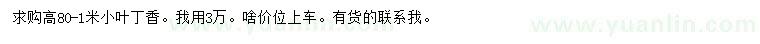 求購高80-1米小葉丁香