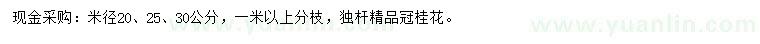 求購米徑20、25、30公分桂花