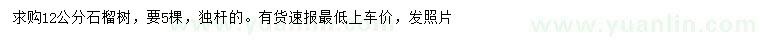 求購12公分石榴樹