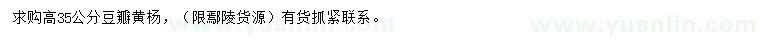 求購(gòu)高35公分豆瓣黃楊