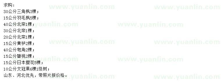 求購(gòu)三角楓、羽毛楓、北欒等