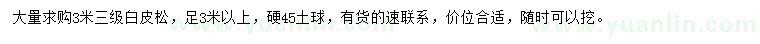 求購3米白皮松