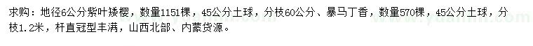 求購地徑6公分紫葉矮櫻、暴馬丁香