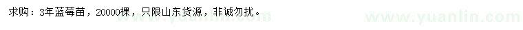 求購3年藍莓苗
