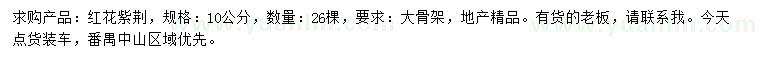 求購10公分紅花紫荊