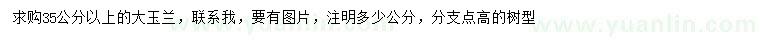 求購35公分以上大玉蘭