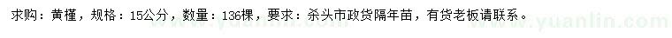求購15公分黃槿
