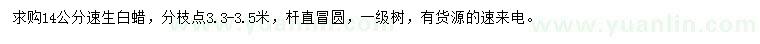 求購14公分速生白蠟