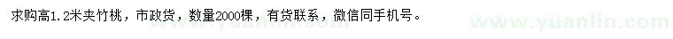 求購高1.2米夾竹桃
