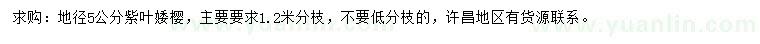 求購地徑5公分紫葉婑櫻