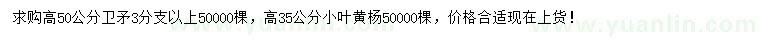 求購高50公分衛矛、高35公分小葉黃楊