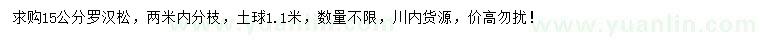 求購15公分羅漢松