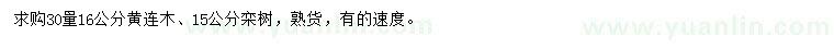 求購(gòu)30量16公分黃連木、15公分欒樹