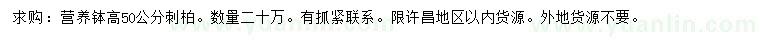 求購高50公分刺柏