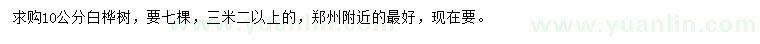 求購10公分白樺樹