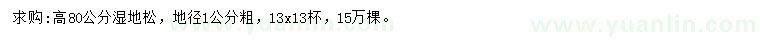 求購(gòu)高80公分濕地松