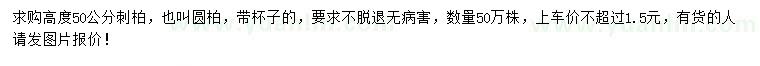 求購高50公分刺柏