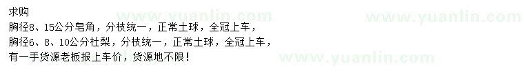 求購胸徑8、15公分皂角、胸徑6、8、10公分杜梨