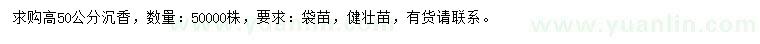 求購高50公分沉香
