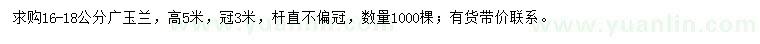 求購(gòu)16-18公分廣玉蘭