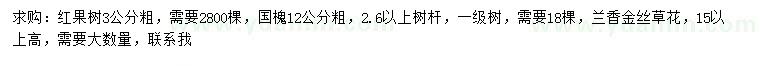 求購紅果樹、國槐、蘭香金絲草花