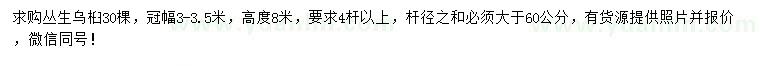 求購冠幅3-3.5米叢生烏桕